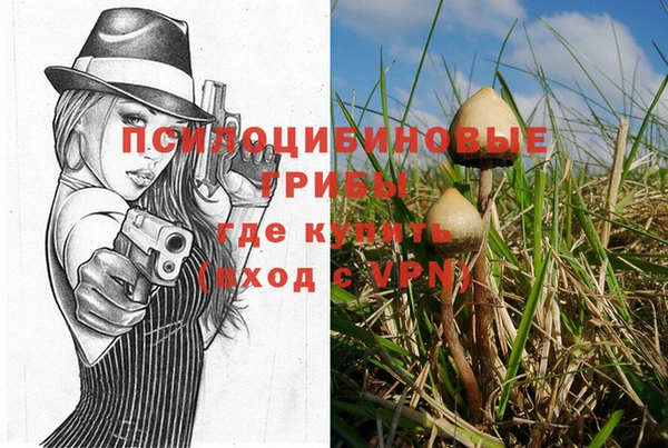 метамфетамин Тихвин