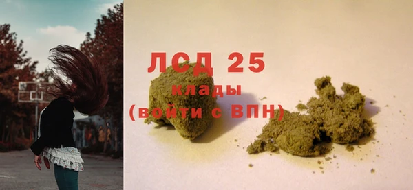 гидра Арсеньев
