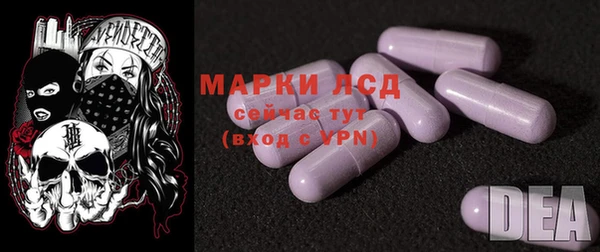 гидра Арсеньев
