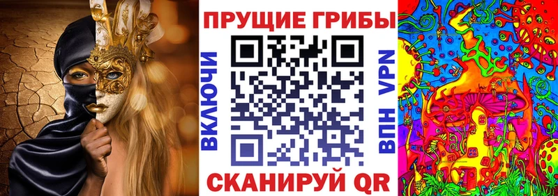 Галлюциногенные грибы GOLDEN TEACHER Саки